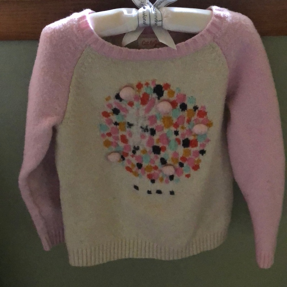Cat and Jack girl sweater